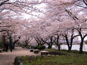 Takamatsu park (Takamatsu Pond)